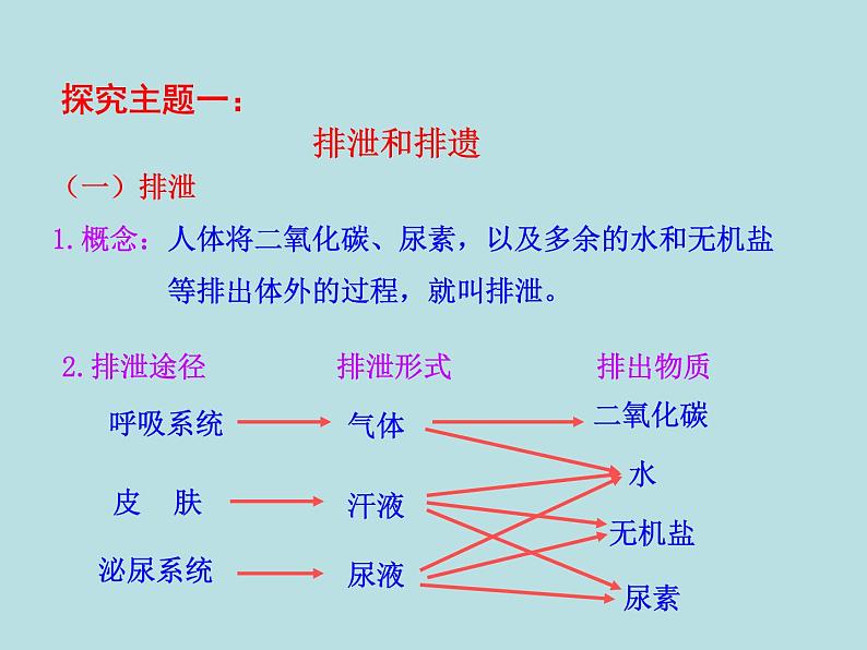 （新人教版）七年级下册生物圈中的人第五章人体内废物的排出教学课件（生物）04