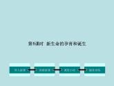 （北师大版）八年级上册第1节人的生殖和发育（第1课时新生命的孕育和诞生）课件（生物）