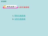 （北师大版）八年级上册第1节人的生殖和发育（第1课时新生命的孕育和诞生）课件（生物）
