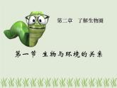 1.2.1生物与环境的关系 课件 人教版七年级上册 生物