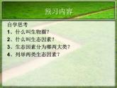 1.2.1生物与环境的关系 课件 人教版七年级上册 生物