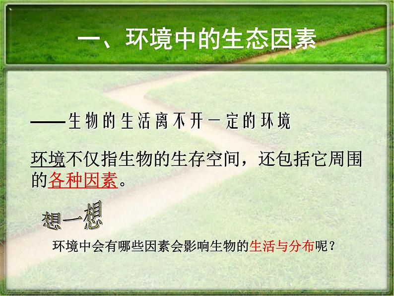 1.2.1生物与环境的关系 课件 人教版七年级上册 生物第5页