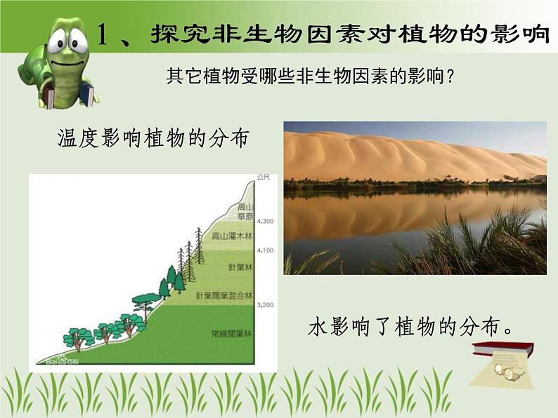 1.2.1生物与环境的关系 课件 人教版七年级上册 生物第7页