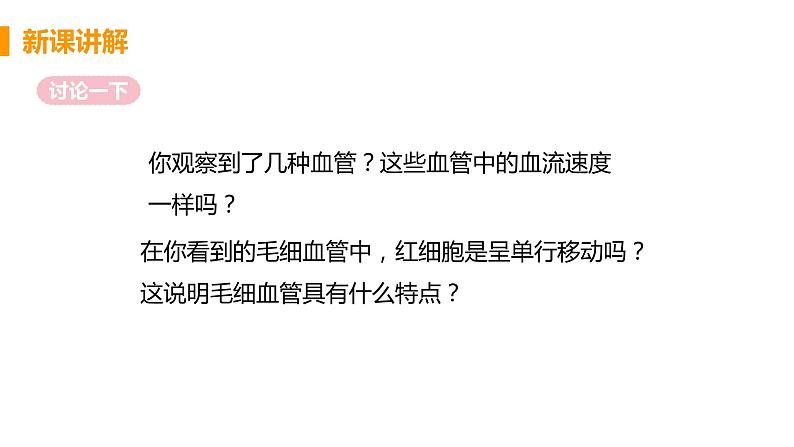 2021年初中生物人教版七年级下册  第二节  血流的管道——血管  课件第7页