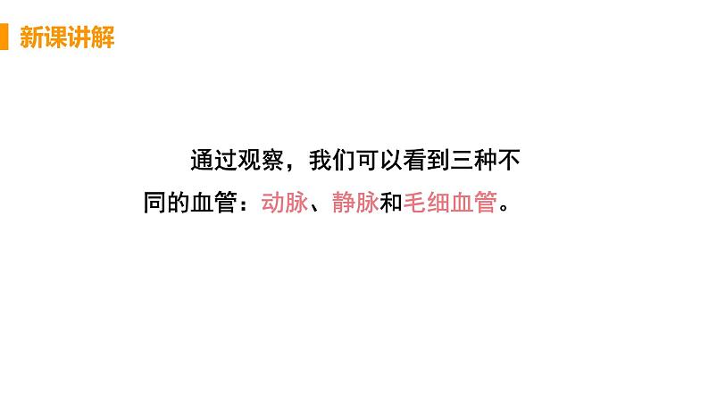 2021年初中生物人教版七年级下册  第二节  血流的管道——血管  课件第8页