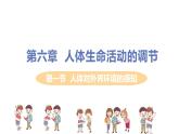 2021年初中生物人教版七年级下册  第一节  人体对外界环境的感知  课件