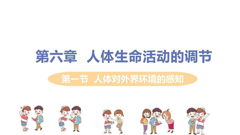 2021年初中生物人教版七年级下册  第一节  人体对外界环境的感知  课件第1页