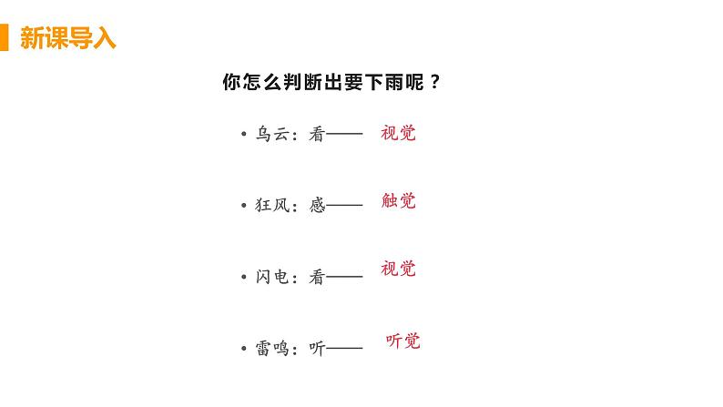 2021年初中生物人教版七年级下册  第一节  人体对外界环境的感知  课件第6页