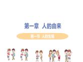 2021年初中生物人教版七年级下册  第二节  人的生殖  课件