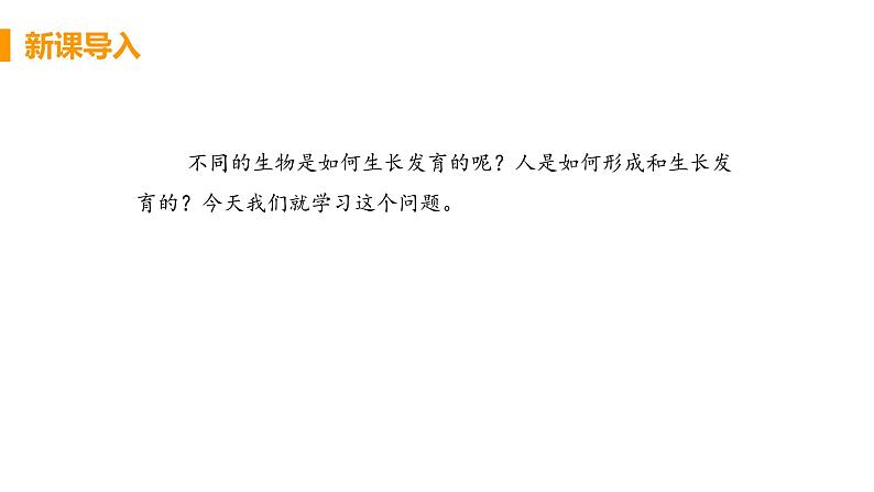 2021年初中生物人教版七年级下册  第二节  人的生殖  课件第4页