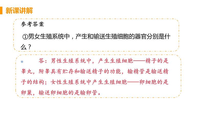 2021年初中生物人教版七年级下册  第二节  人的生殖  课件第8页