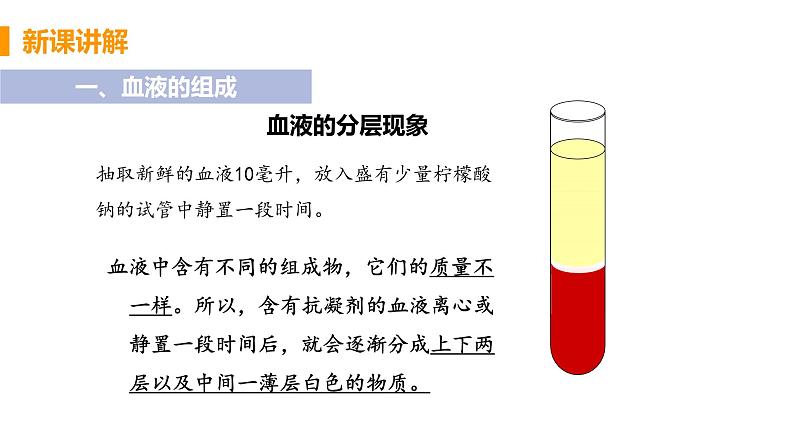 2021年初中生物人教版七年级下册  第一节  流动的组织——血液  课件第7页