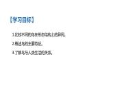 人教版八年级生物上册第一单元第六课《鸟》PPT教学课件（共21页）