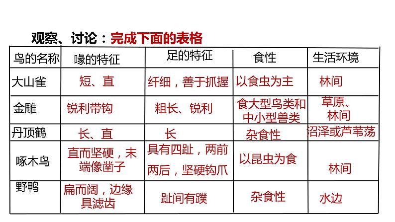 人教版八年级生物上册第一单元第六课《鸟》PPT教学课件（共21页）第6页