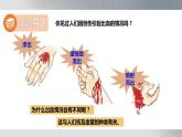 七年级生物下册 第四单元《血流的管道——血管》课件