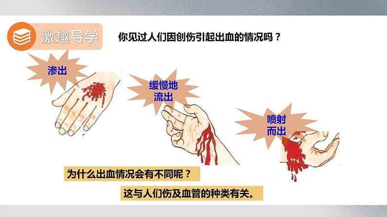 七年级生物下册 第四单元《血流的管道——血管》课件第2页