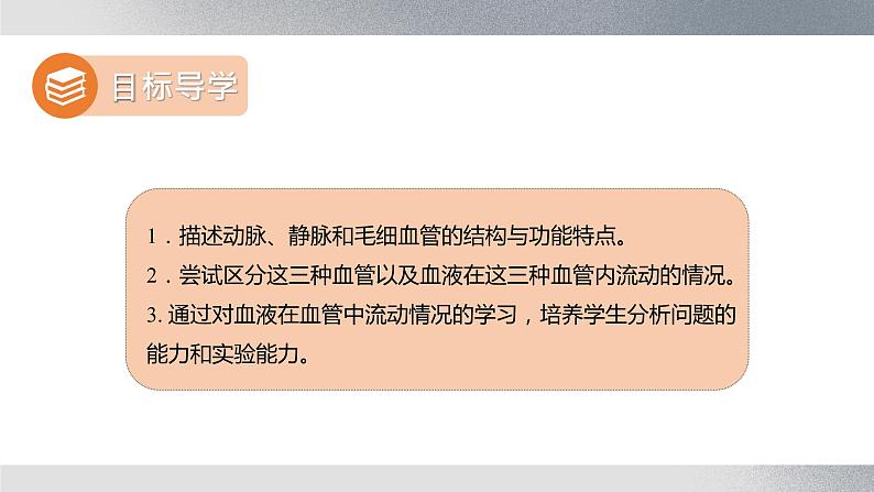 七年级生物下册 第四单元《血流的管道——血管》课件第3页