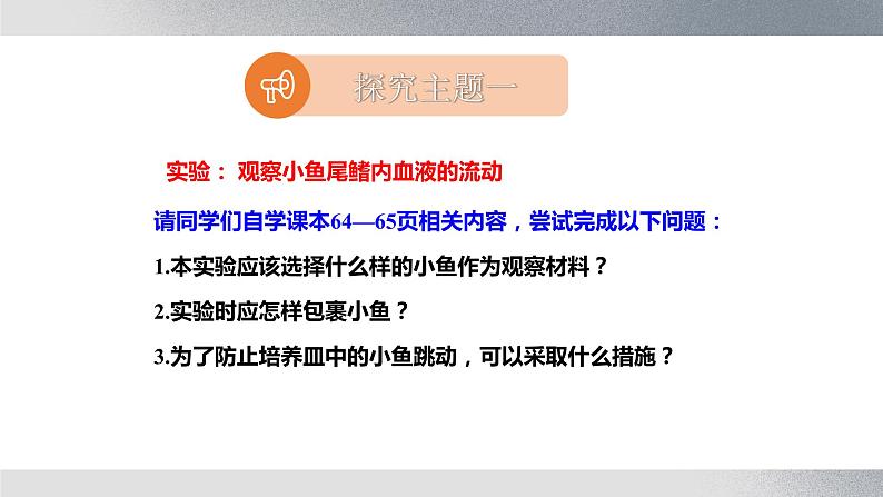 七年级生物下册 第四单元《血流的管道——血管》课件第5页