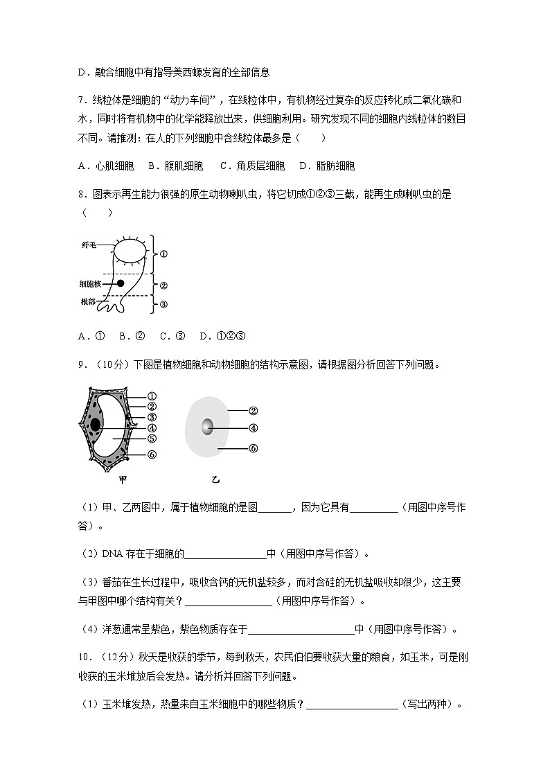 2021年初中生物人教版七年级上册  2.1.4  细胞的生活   同步习题02