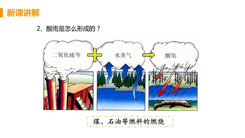 2021年初中生物人教版七年级下册  第二节  探究环境污染对生物的影响  课件06