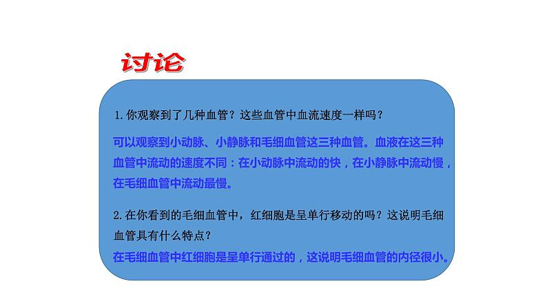 七年级生物下册4.4.2《血流的管道——血管》课件第6页