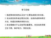 北师大版生物七年级下册-第2节感受器和感觉器官-第1课时视觉和视觉器官【教案+课件】