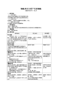 初中生物人教版 (新课标)七年级上册第一节 细胞通过分裂产生新细胞免费教学设计及反思