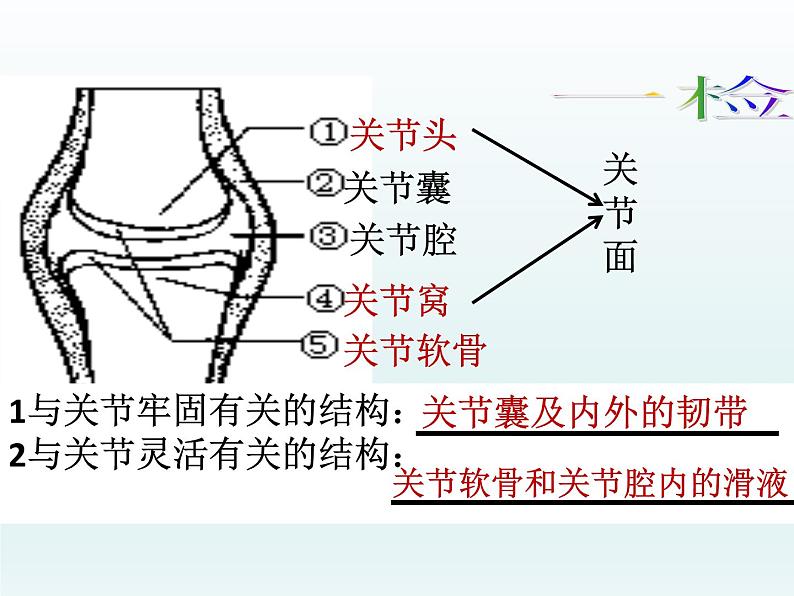 济南版生物七年级上册《病毒》课件第1页