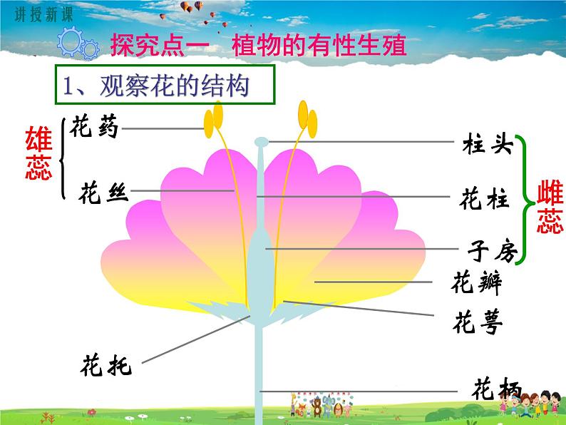 人教版生物八年级下册 第一章 生物的生殖和发育-第一节 植物的生殖【教学课件】03