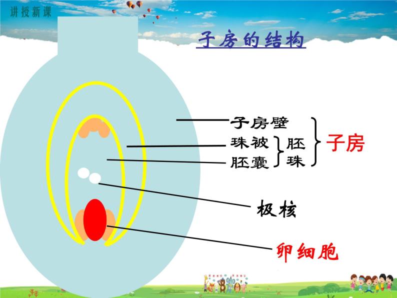 人教版生物八年级下册 第一章 生物的生殖和发育-第一节 植物的生殖【教学课件】05