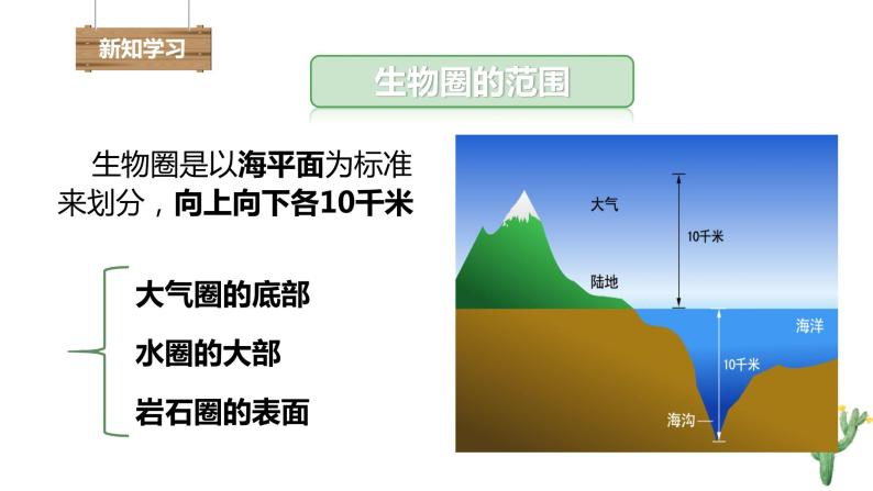 人教版七年级上册1.2.3 生物圈是最大的生态系统 课件ppt07