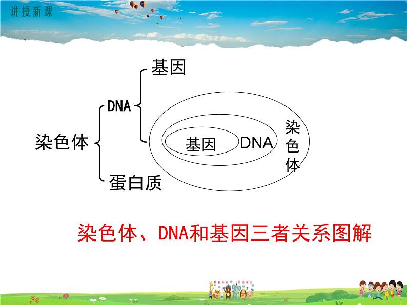 人教版生物八年级下册 第二章 生物的遗传与变异-第二节 基因在亲子代间的传递【教学课件】07