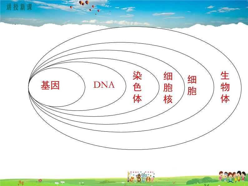 人教版生物八年级下册 第二章 生物的遗传与变异-第二节 基因在亲子代间的传递【教学课件】08