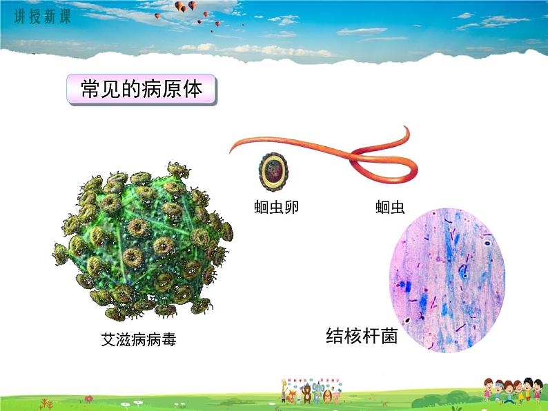 人教版生物八年级下册 第一章 传染病和免疫-第一节 传染病及其预防【教学课件】06