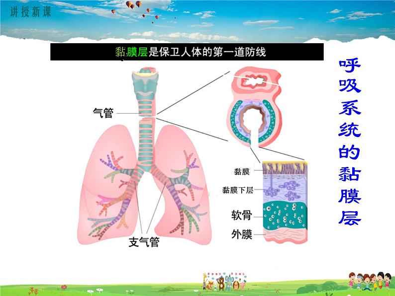 第一章 传染病和免疫-第二节 免疫与计划免疫-第1课时人体的三道防线第6页