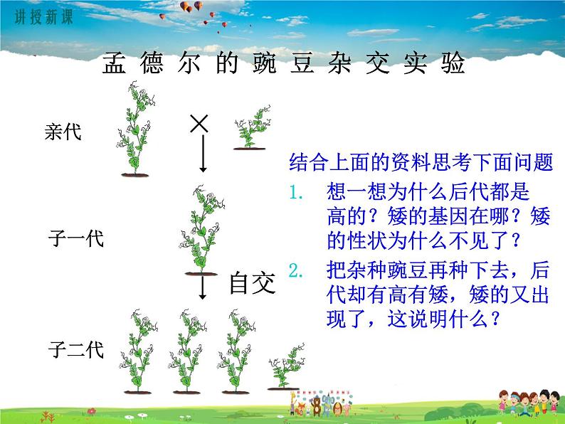 人教版生物八年级下册 第二章 生物的遗传与变异-第三节 基因的显性和隐性【教学课件】08