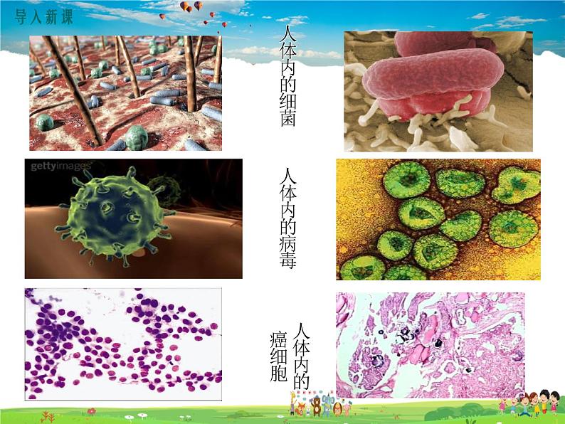 人教版生物八年级下册 第一章 传染病和免疫-第二节 免疫与计划免疫-第2课时免疫的功能与计划免疫、艾滋病【教学课件】03