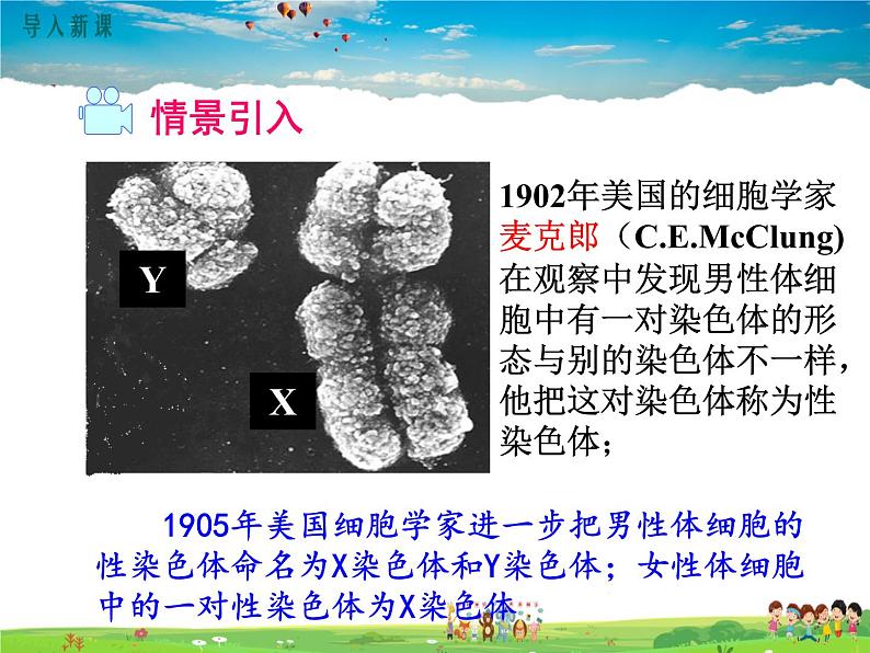 人教版生物八年级下册 第二章 生物的遗传与变异-第四节 人的性别遗传【教学课件】02