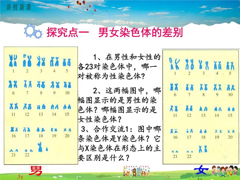 人教版生物八年级下册 第二章 生物的遗传与变异-第四节 人的性别遗传【教学课件】03