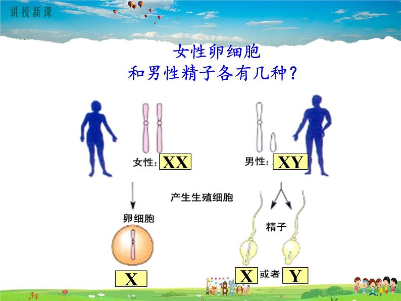 人教版生物八年级下册 第二章 生物的遗传与变异-第四节 人的性别遗传【教学课件】06