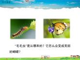 人教版生物八年级下册 第一章 生物的生殖和发育-第二节 昆虫的生殖和发育【教学课件】