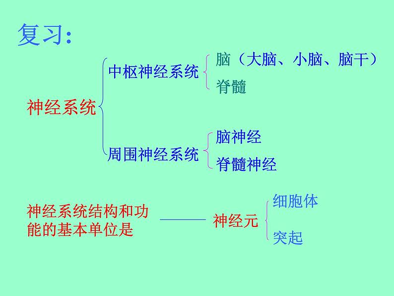 北师大版生物七年级下册-第1节神经系统与神经调节-第2课时反射的类型【课件】02