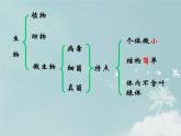 14.3神奇的微生物 课件（5）苏教版八年级生物上册