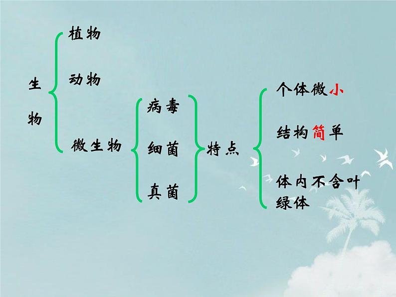 14.3神奇的微生物 课件（5）苏教版八年级生物上册02