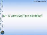 动物运动的形式和能量供应PPT课件免费下载