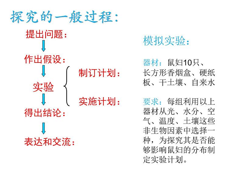 生物与环境的关系PPT课件免费下载05