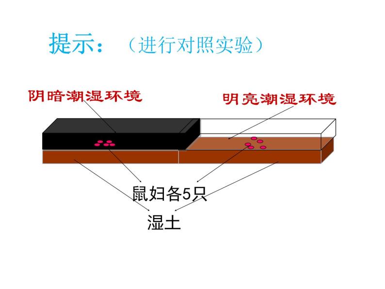 生物与环境的关系PPT课件免费下载06