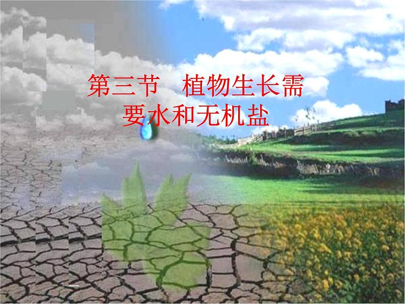 植物生长需要水和无机盐PPT课件免费下载01