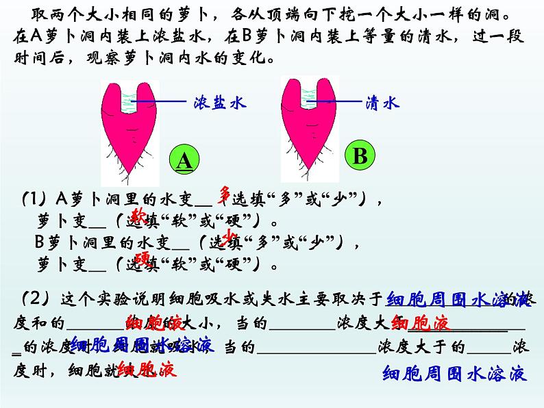 植物生长需要水和无机盐PPT课件免费下载07