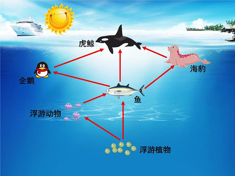 19.2生态系统中的能量流动和物质循环 课件（56）苏教版八年级生物上册第2页